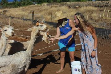 a person standing next to a horse