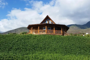 a large green field with a mountain in the background